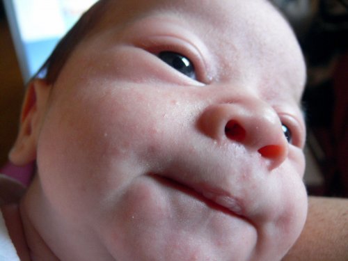 infant