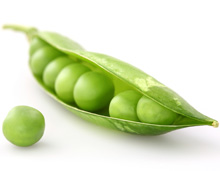 peas contain important nutrients