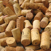 Alcohol is a preventable cause of cancer