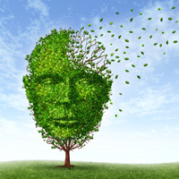alzheimer cerebrovascular disease