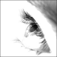 eye