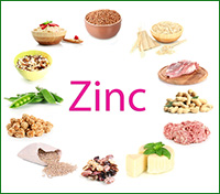 foods high in zinc