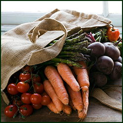 fresh picked vegetables