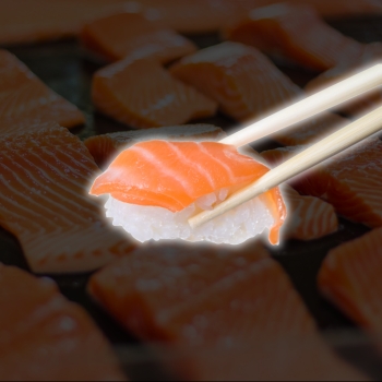 salmon sushi, high in Astaxanthin