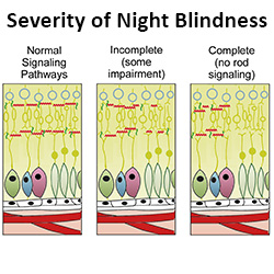 severity of poor night vision