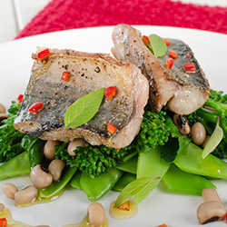 mackerel contains DHA