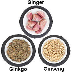 ginseng garlic and ginkgo in bowls