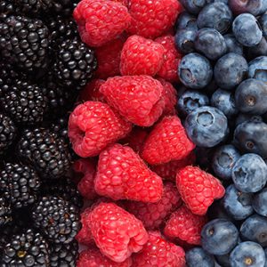 Mix of differrent berries