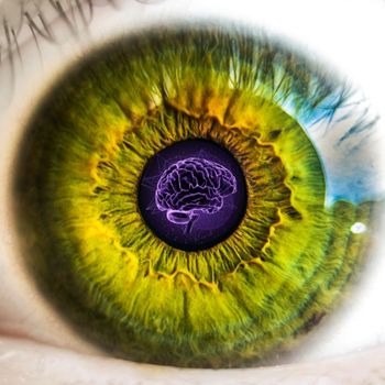 eyes, the brain and Alzheimer's disease