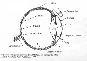 MF-eye