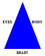 MF-triangle