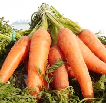 carrots