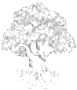 nace3_2_1