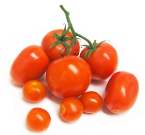 tomatoes