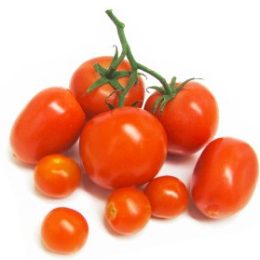 tomatoes
