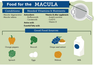 macula-food