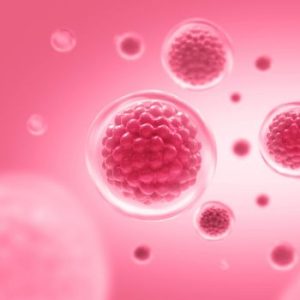 Representation of stem cells.