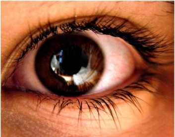 eyes-9-facts