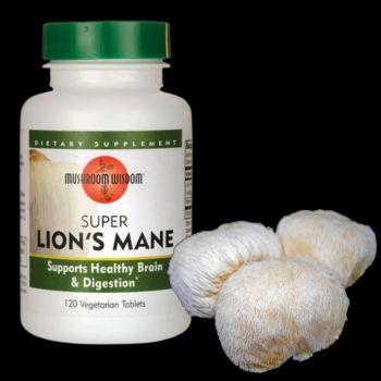 Lion's Mane supplements and mushrooms