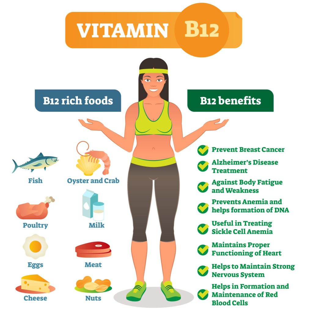 vitamin b12 infographic