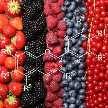 brightly colored berries and Anthocyanin moledule
