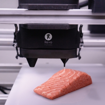 3D printed salmon filet
